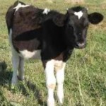 Οι τυχεροί αριθμοί της κλήρωσης της χοροεσπερίδας της Ομάδας μας.