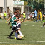 Δράση για Παίδες, Τζούνιορ της ομάδας μας