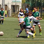 Δράση σήμερα για τις ομάδες Παίδων και Τζούνιορ της Ακαδημίας μας